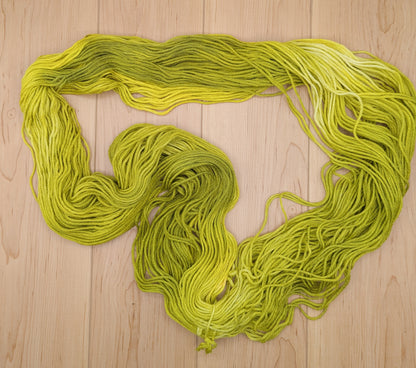 Sassafras Yarn